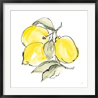 Framed Lemons III