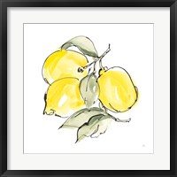 Framed Lemons III