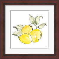 Framed 'Lemons II' border=