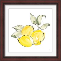 Framed 'Lemons II' border=