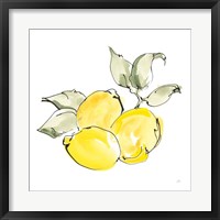 Framed 'Lemons II' border=