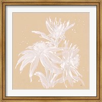 Framed Echinacea IV