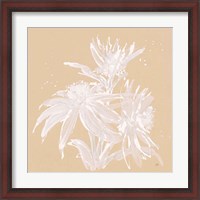 Framed Echinacea IV