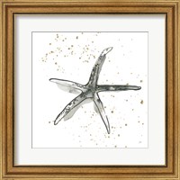 Framed Starfish III