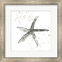 Framed Starfish III