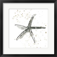 Starfish III Framed Print