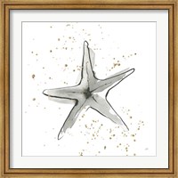 Framed Starfish II