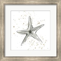 Framed Starfish II