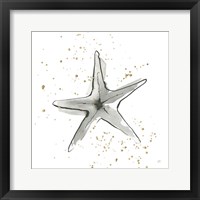 Starfish II Framed Print