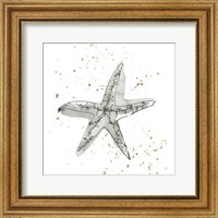 Framed Starfish I