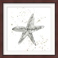 Framed Starfish I