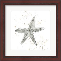 Framed 'Starfish I' border=