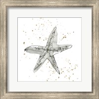 Framed 'Starfish I' border=