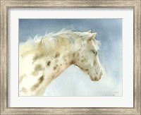 Framed Dapple Gray Horse
