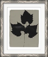 Framed 'Nature by the Lake Leaves I Gray' border=