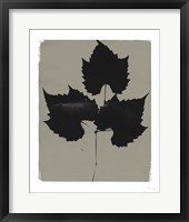 Nature by the Lake Leaves I Gray Framed Print