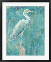 Coastal Egret I Dark Framed Print