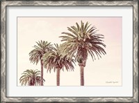 Framed Pastel Palms