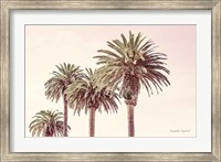 Framed Pastel Palms