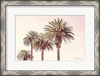 Framed Pastel Palms