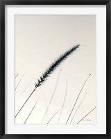 Framed Field Grasses V