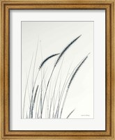 Framed Field Grasses III