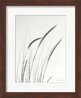 Framed Field Grasses III