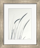 Framed Field Grasses III