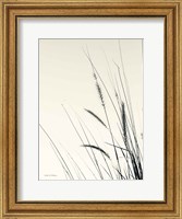 Framed Field Grasses II