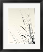 Framed Field Grasses II