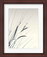 Framed Field Grasses I