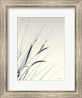 Framed Field Grasses I