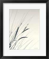 Field Grasses I Framed Print