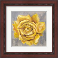 Framed Yellow Roses II