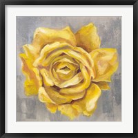 Yellow Roses II Framed Print