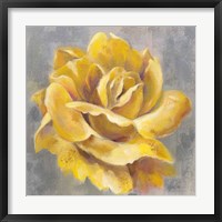 Yellow Roses I Framed Print