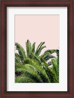 Framed Tropical Leaves on Blush II