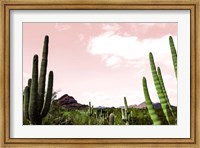 Framed Cactus Landscape Under Pink Sky