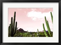 Framed Cactus Landscape Under Pink Sky