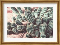 Framed Cactus Muted Burst