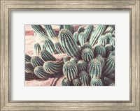 Framed Cactus Muted Burst