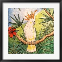 Framed Tropical Bird I