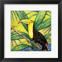 Tropical Bird II Framed Print