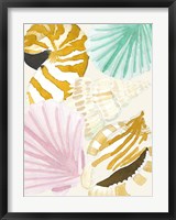 Framed Seashell Collage