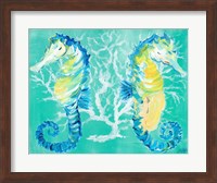 Framed Seahorses on Coral