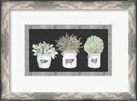 Framed Potted Farm Arrangement Trio on Chalkboard