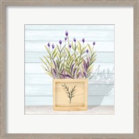 Framed Lavender and Wood Square II