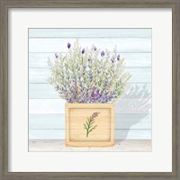 Framed Lavender and Wood Square III