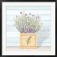 Framed Lavender and Wood Square III