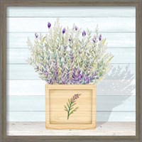 Framed 'Lavender and Wood Square III' border=
